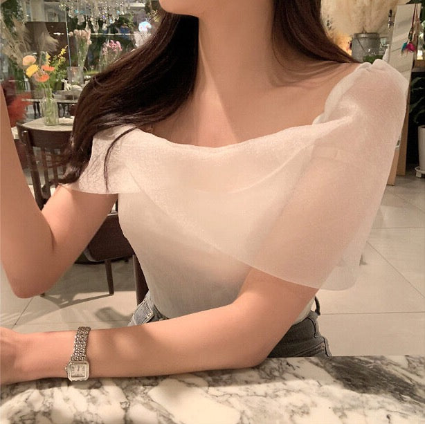 超仙氣質浪漫隱約透明網紗上衣